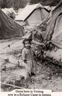 Tents of Learning, Shadows of Silence - LiA Week 4