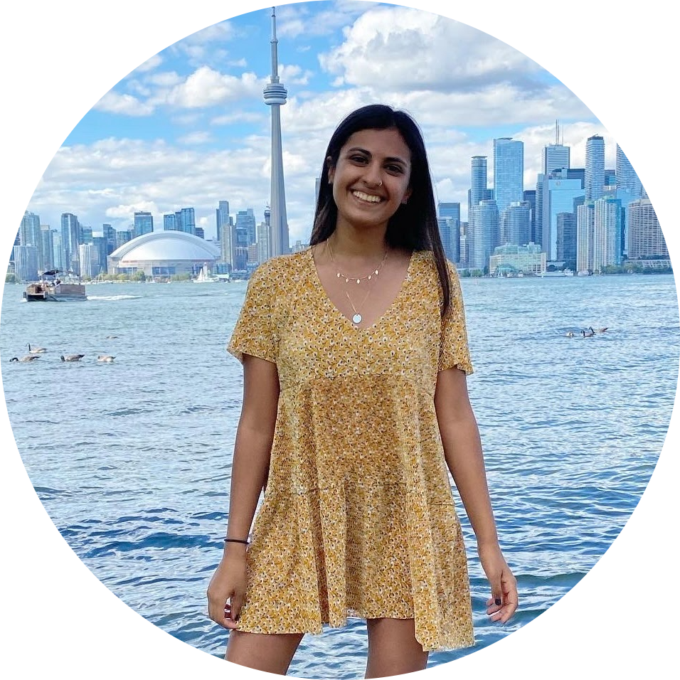 Go to the profile of Iman Lalani