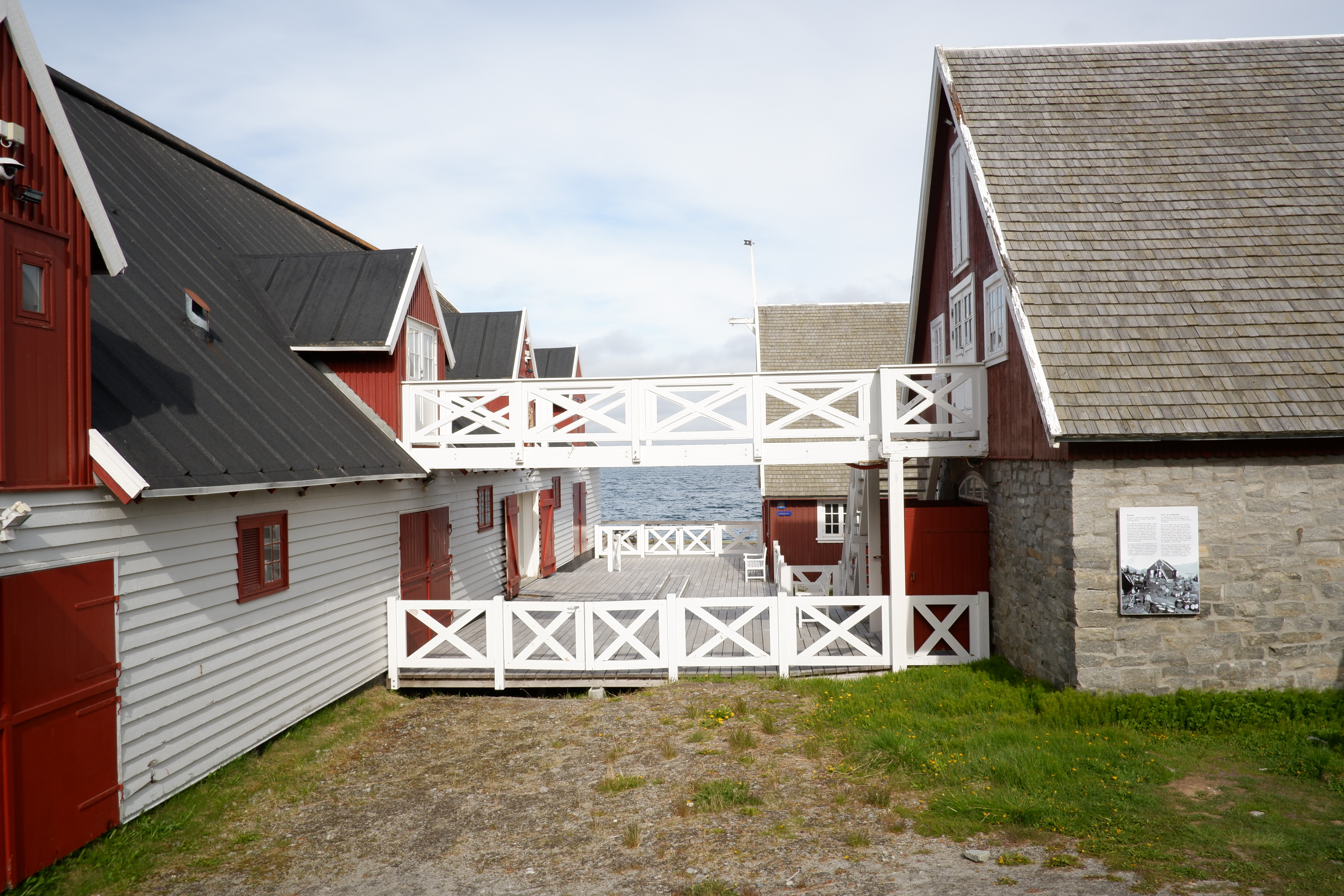 Report from my LIA (Nuuk, Greenland + Tokyo, Japan)