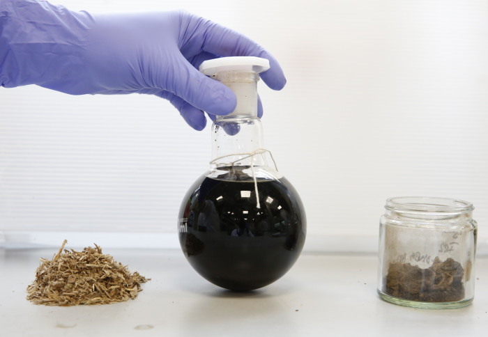 Project Outline: Ionic liquid-based biomass fractionation