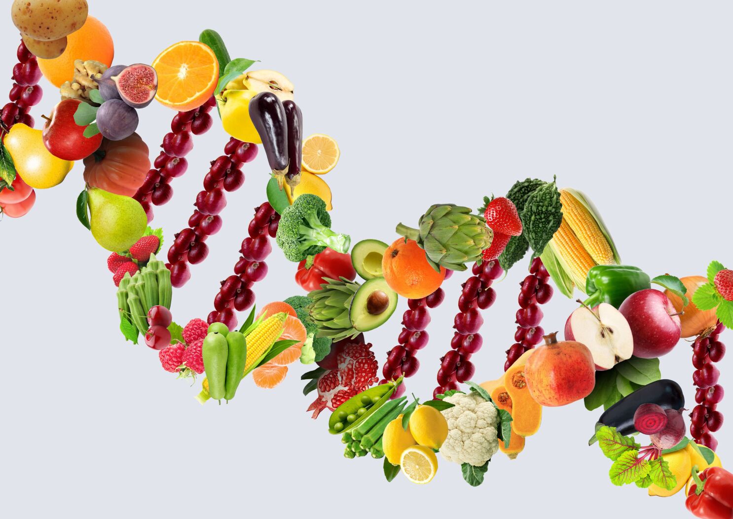 Project Outline: Nutrition for Precision Health