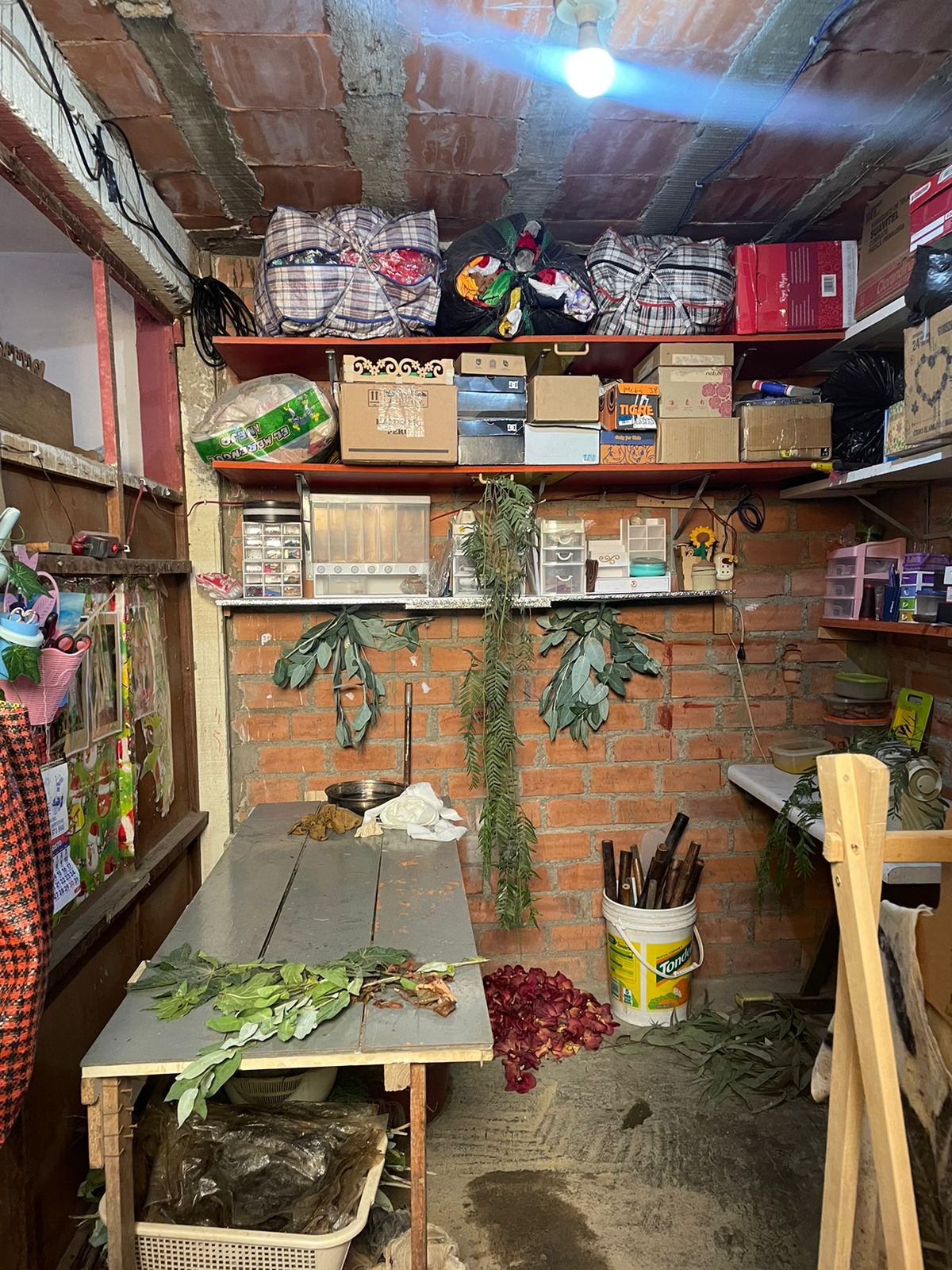 LiA Third Week: A Day in the Life of Diana