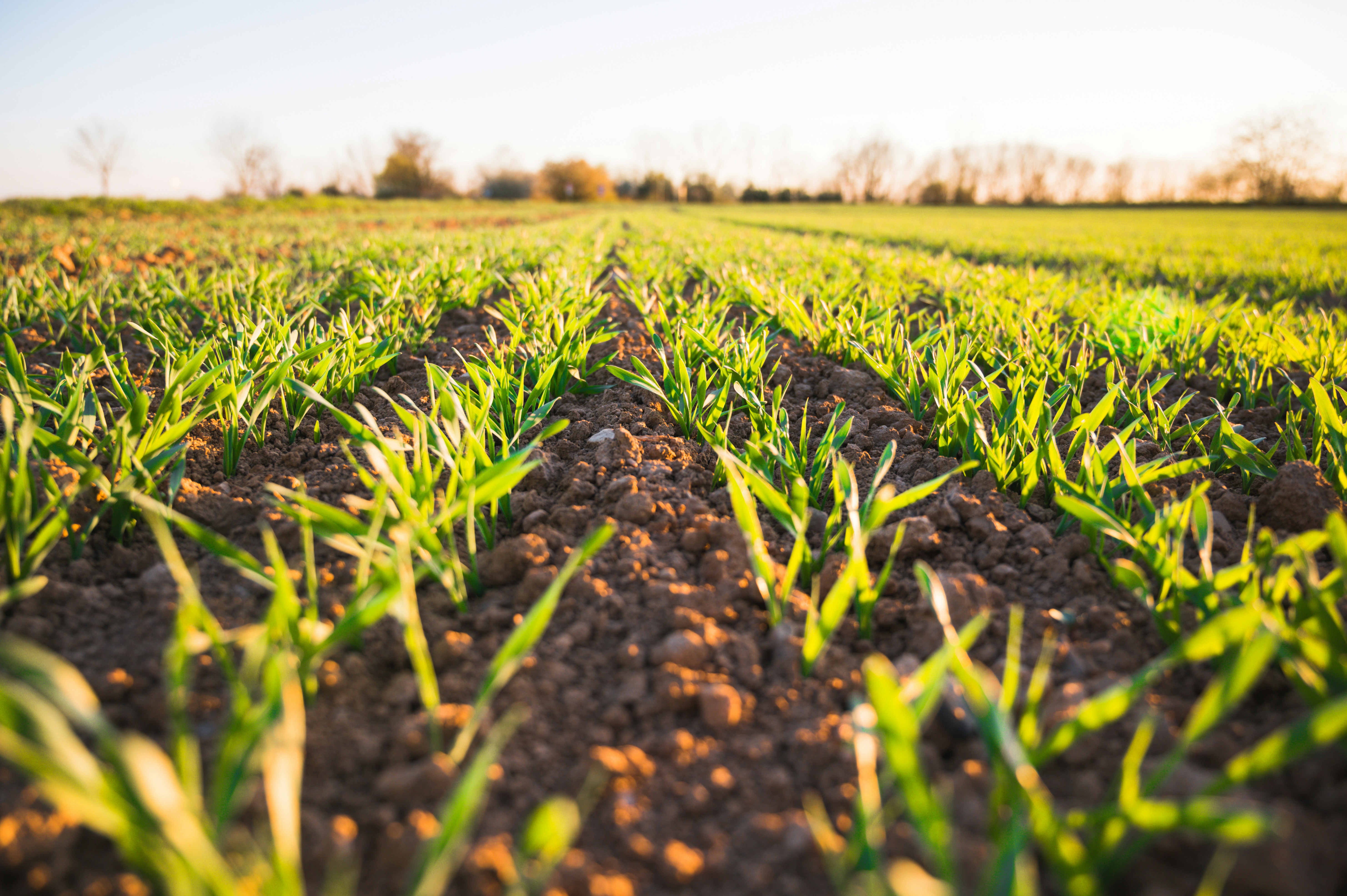 Research Proposal: Analysing the efficacy of land interventions to prevent agricultural soil loss in the Wear catchment
