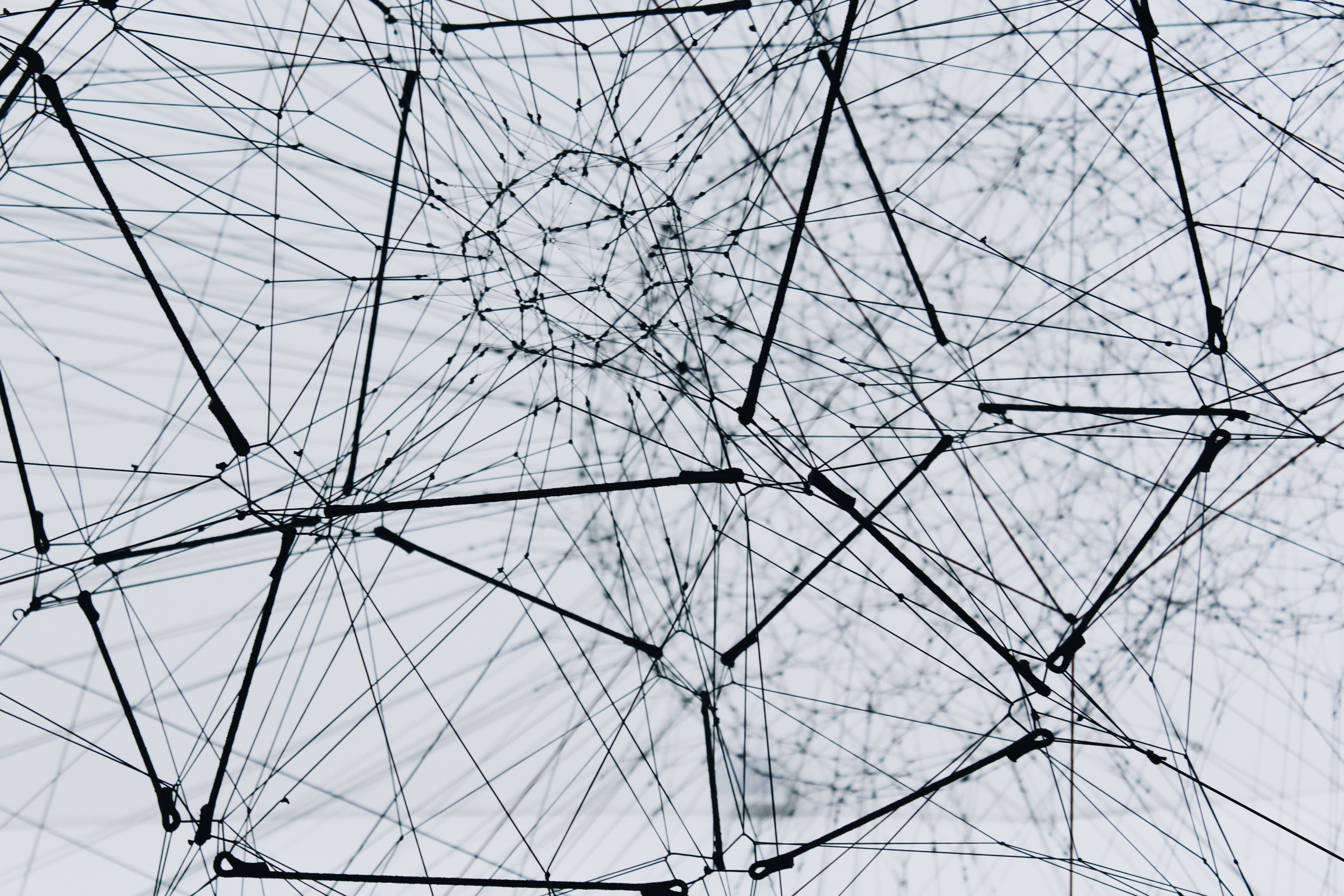 New Feature: My Network