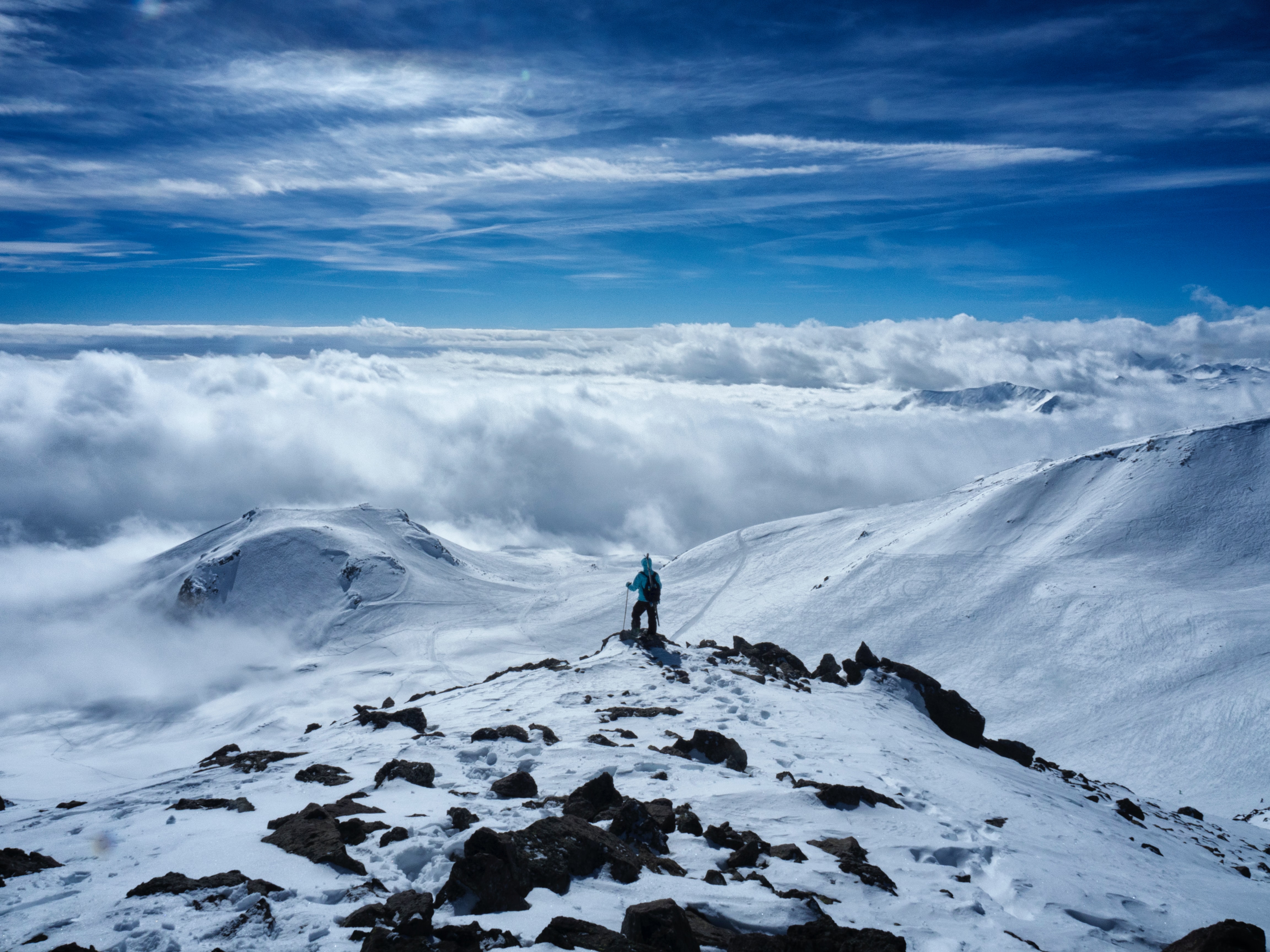 #LaidlawGlobalTalks: Rewarding Brave Thinking with Peter Harrington