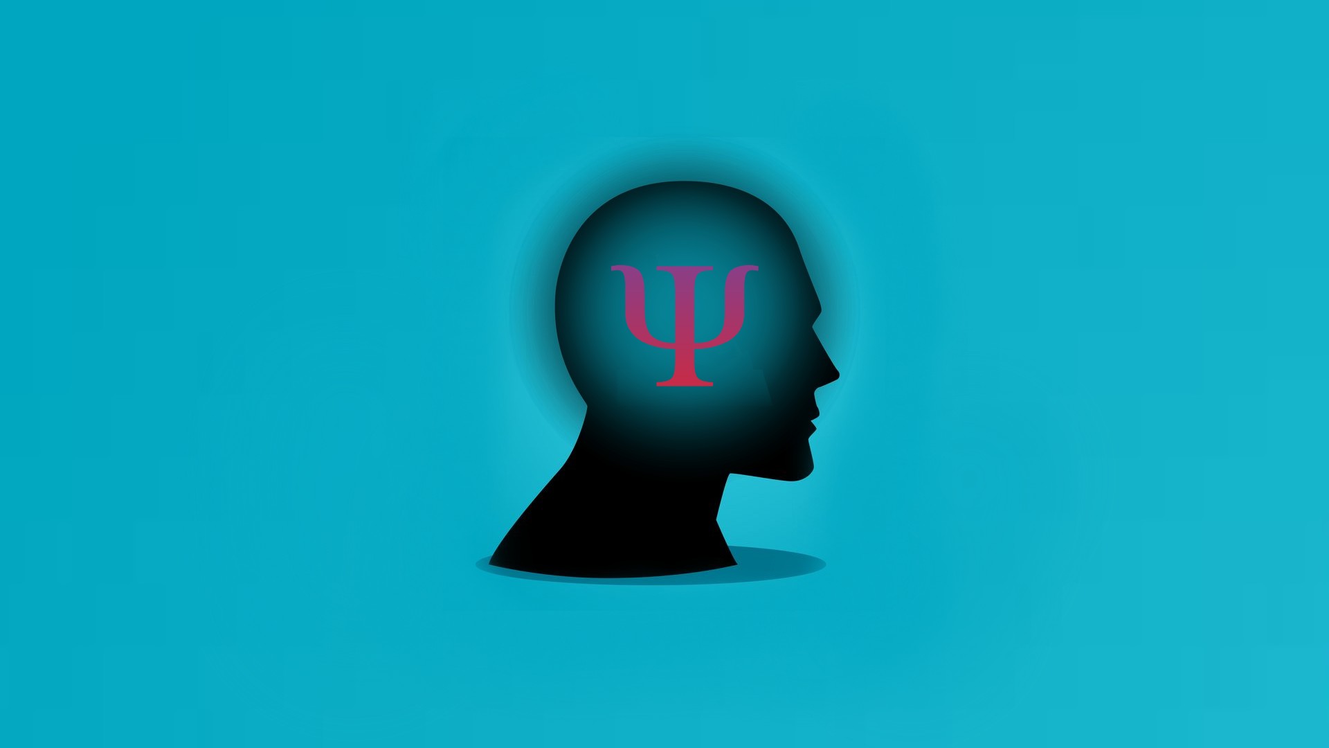 Does Free Will exist in our Universe?