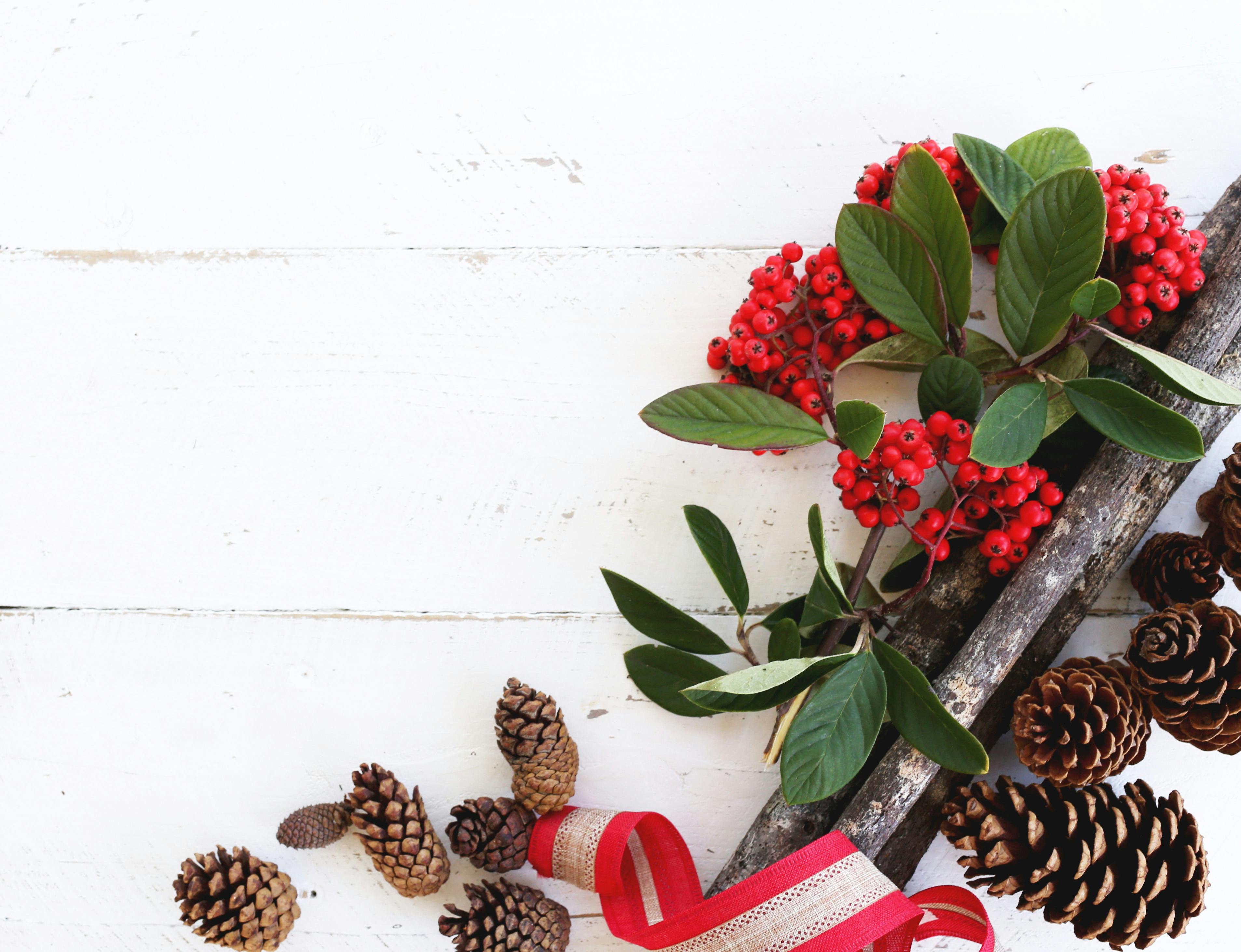 Season's Greeting from Saïd Business School
