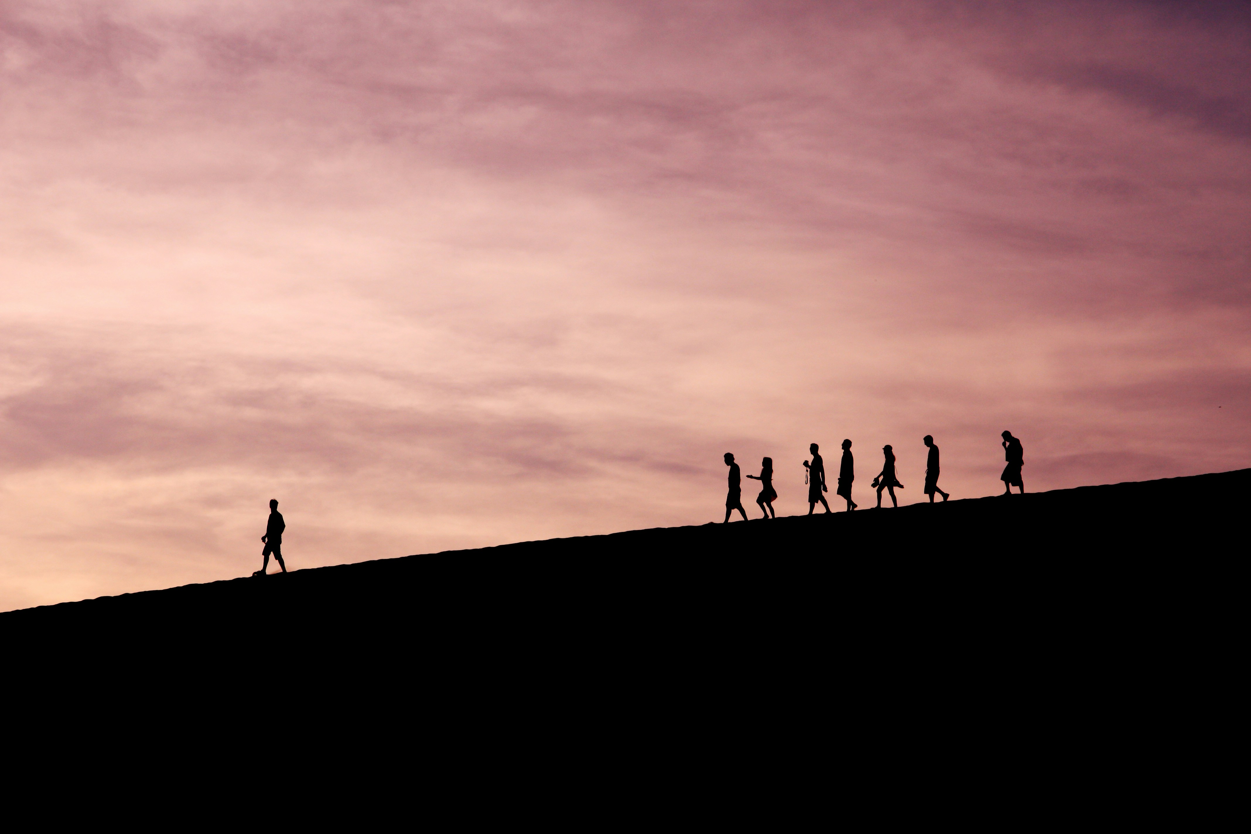 Explore Central Leadership in Action Projects for 2025!