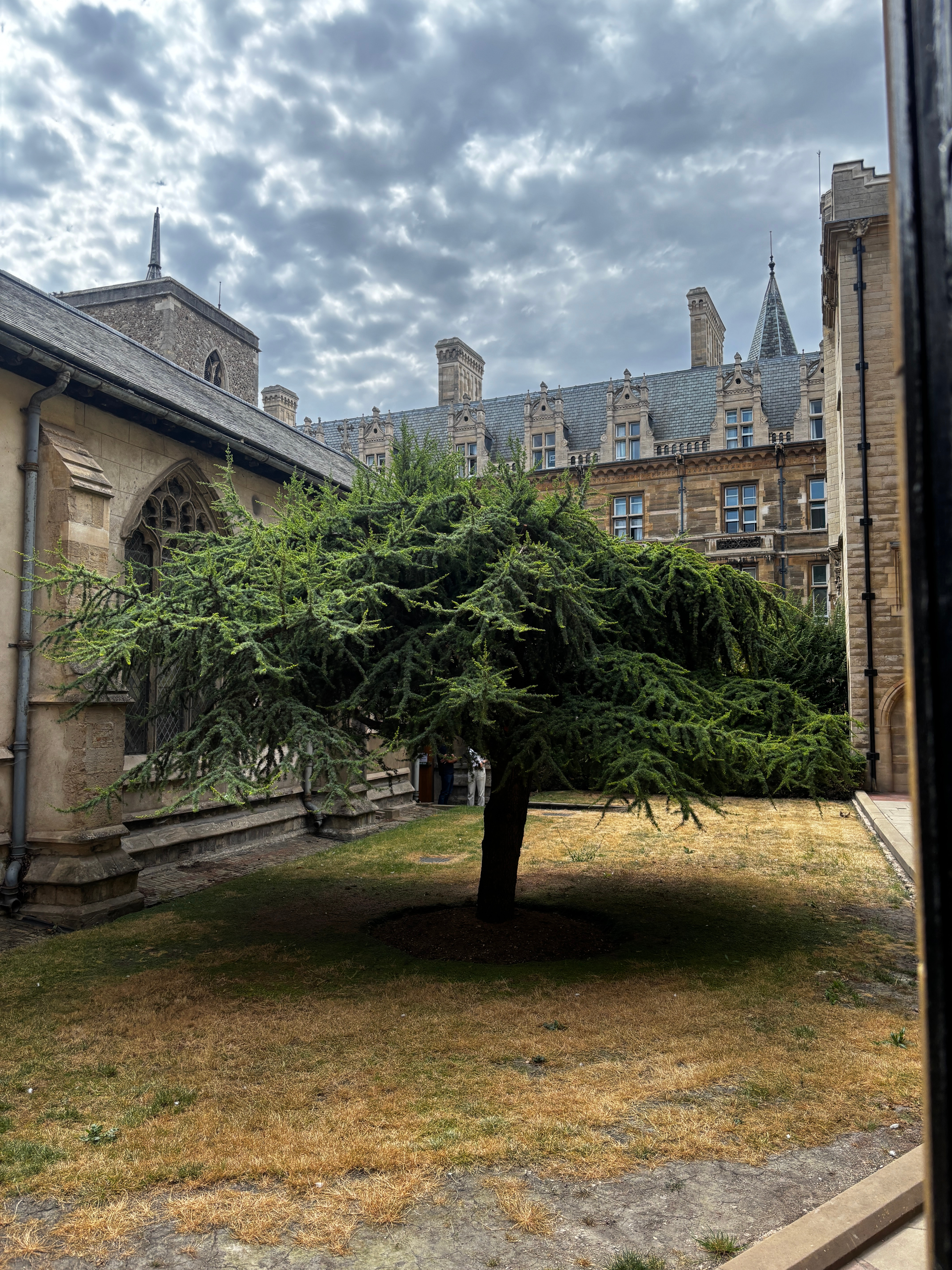 LiA in Cambridge: Midway Reflections!