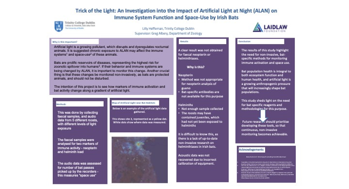 Research Poster - Trick of the Light: An Investigation into the Impact of Artificial Light at Night (ALAN) on Immune System Function and Space-Use by Irish Bats