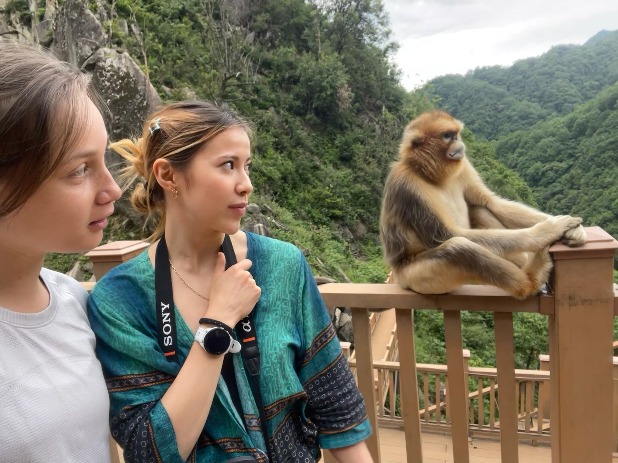 LiA Week 3: The Real Monkeys