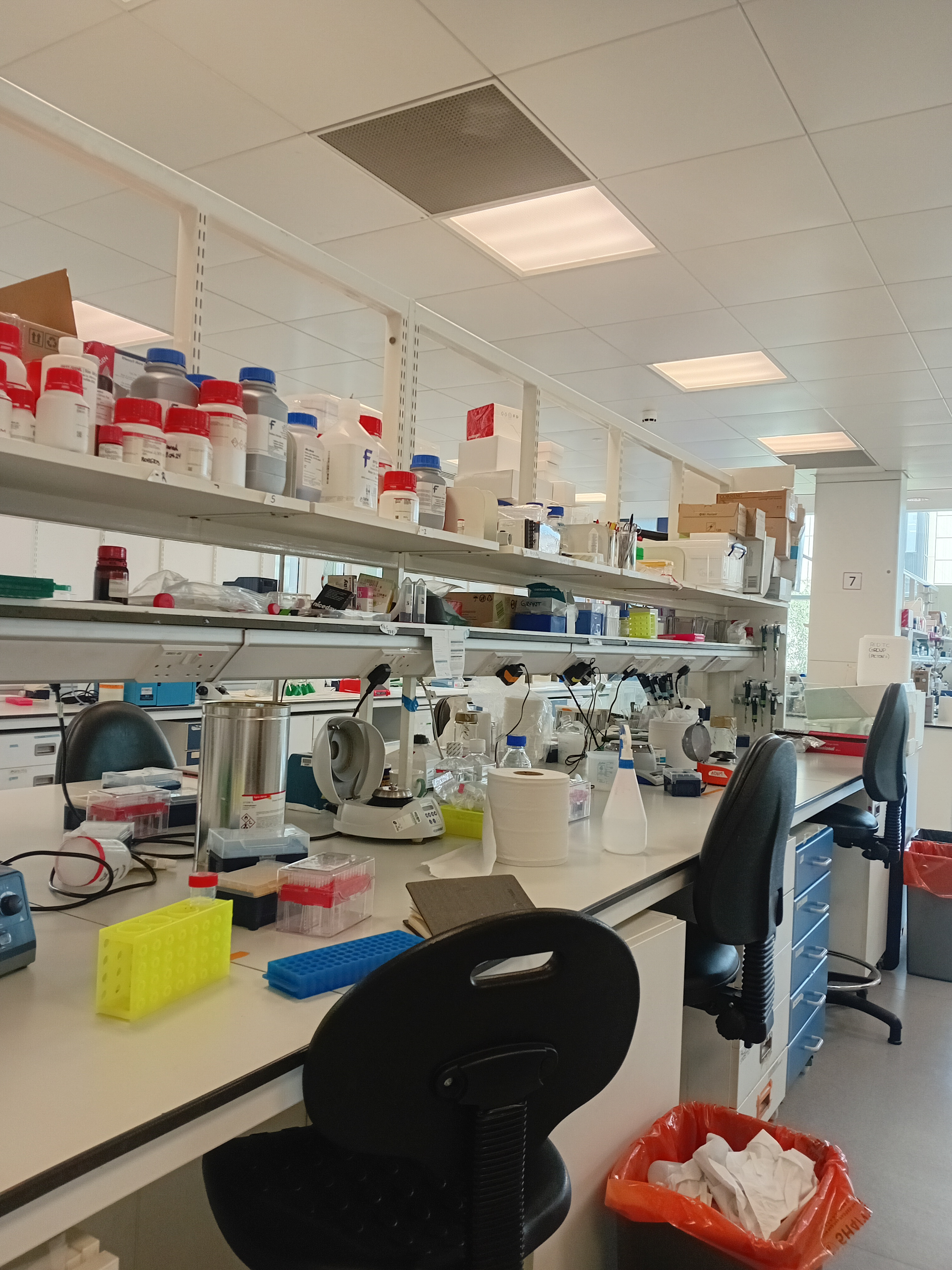 Week 1 of Research at Leeds: Insights and Reflection