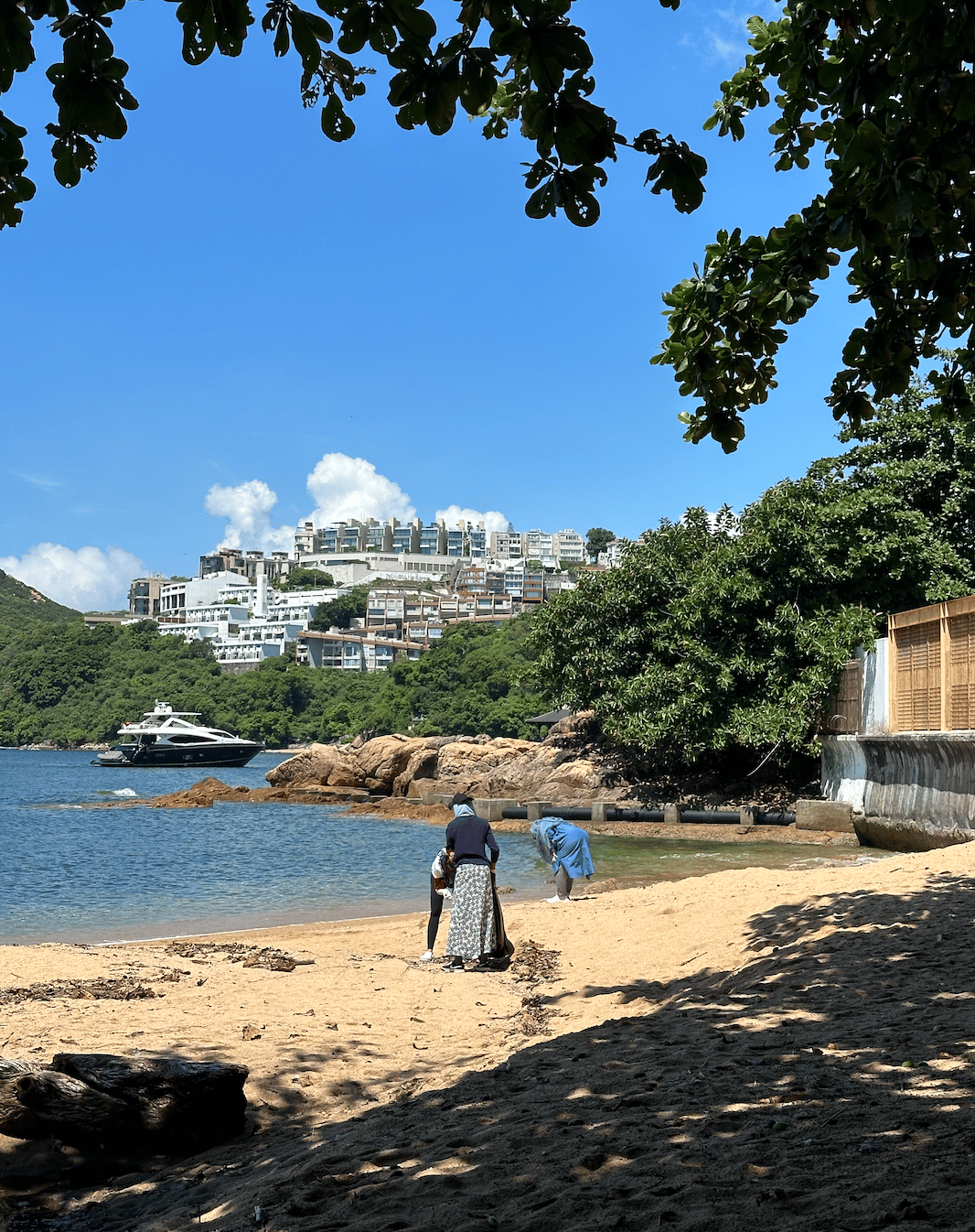 LiA Week 6: Cleansing Coasts