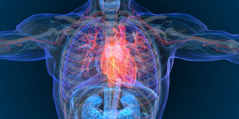 Project Outline: Investigating BACE1 as a novel regulator of adipose thermogenesis and cardiometabolic disease