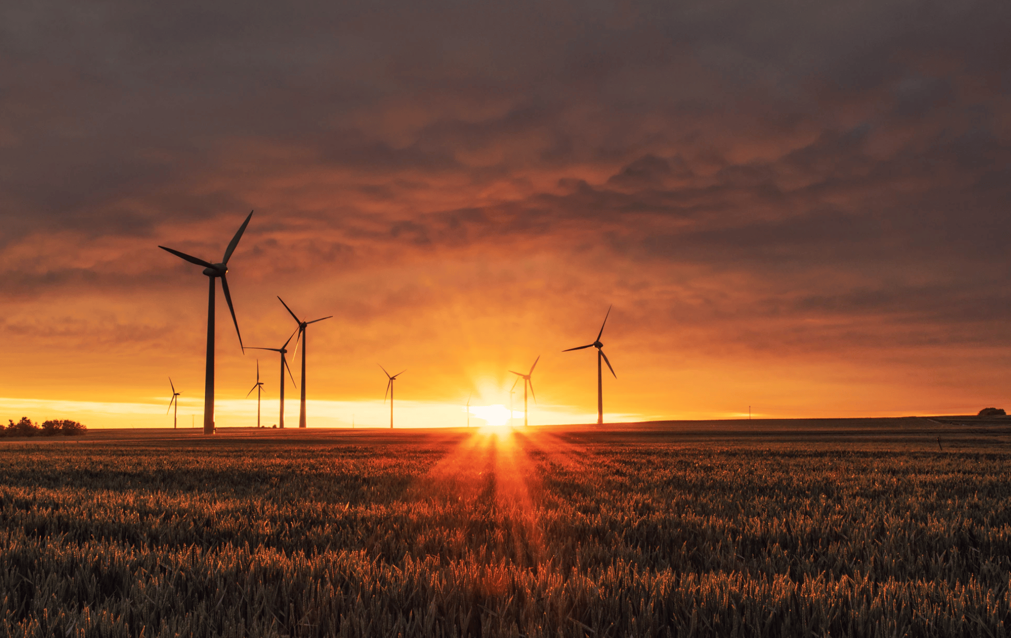 Unanswered Questions | A Make-or-Break Moment: Sustainable Development Goals after COVID-19