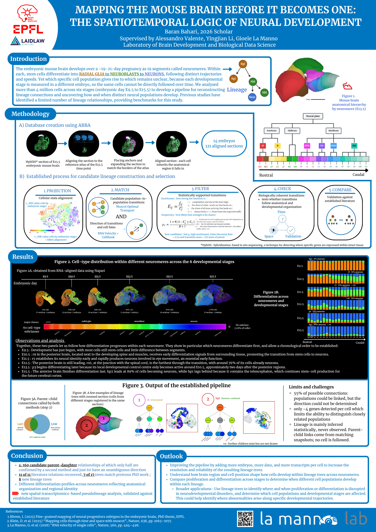 Mapping the Mouse brain before it becomes one: the spatiotemporal logic of neural development