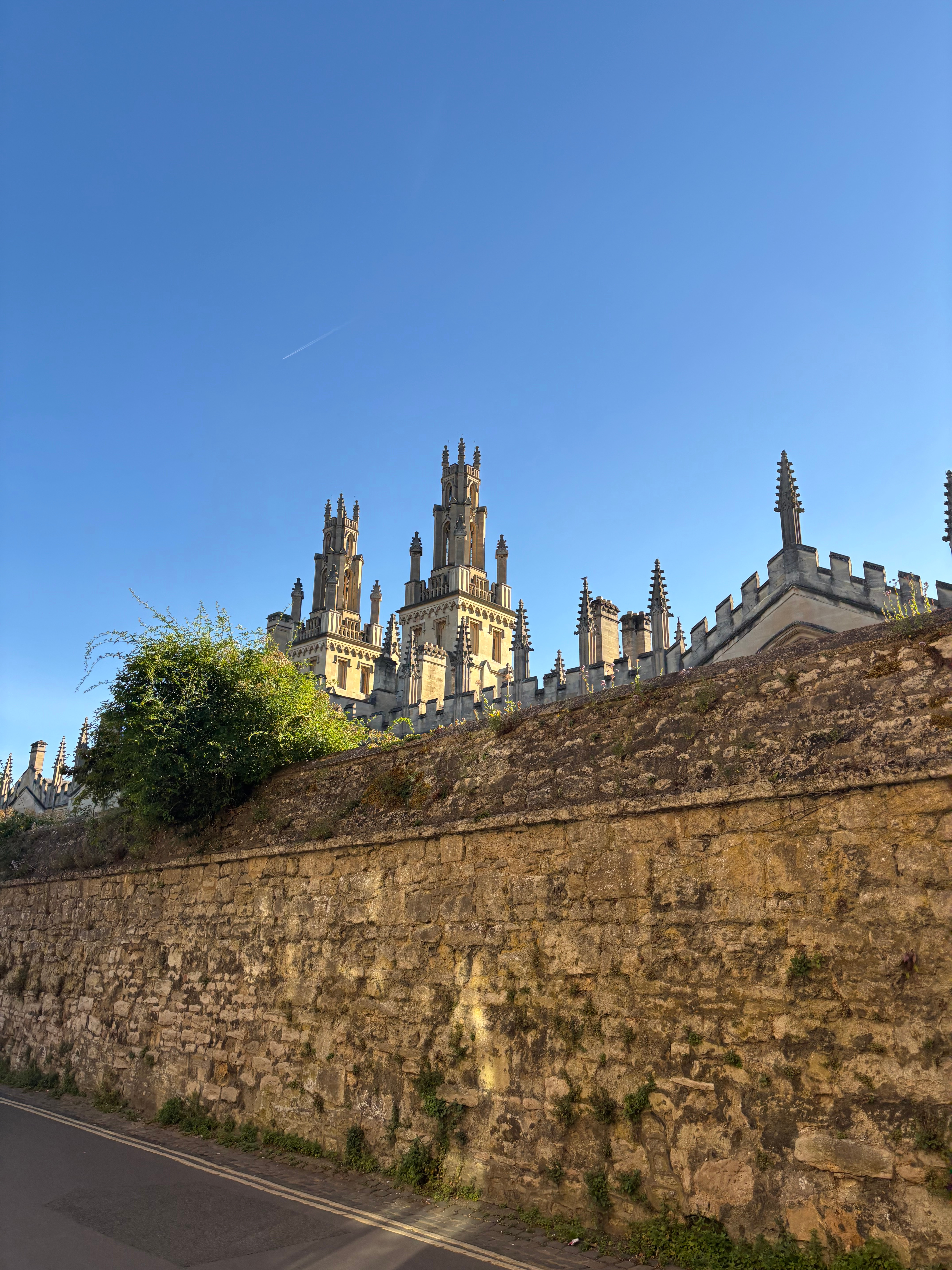 Week 1: Oxford Research Summer