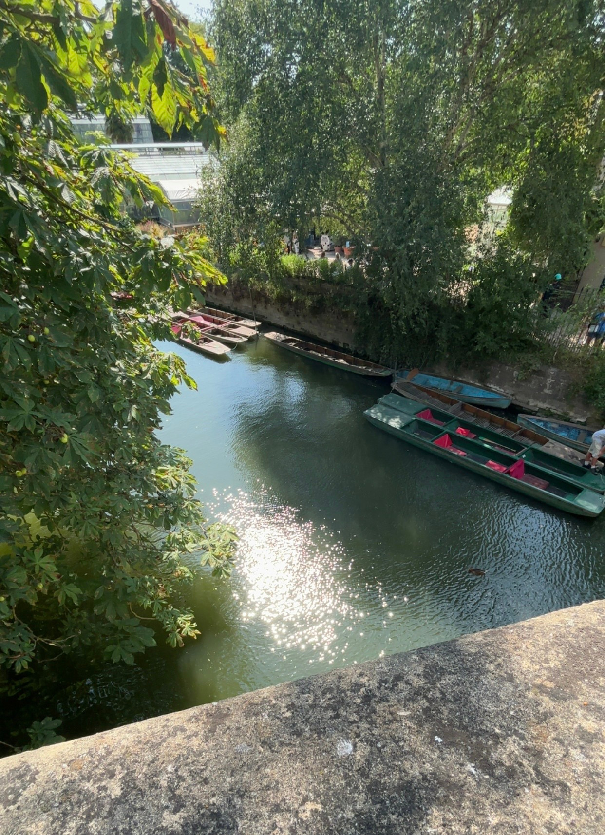 Week 5: Oxford Research Summer 