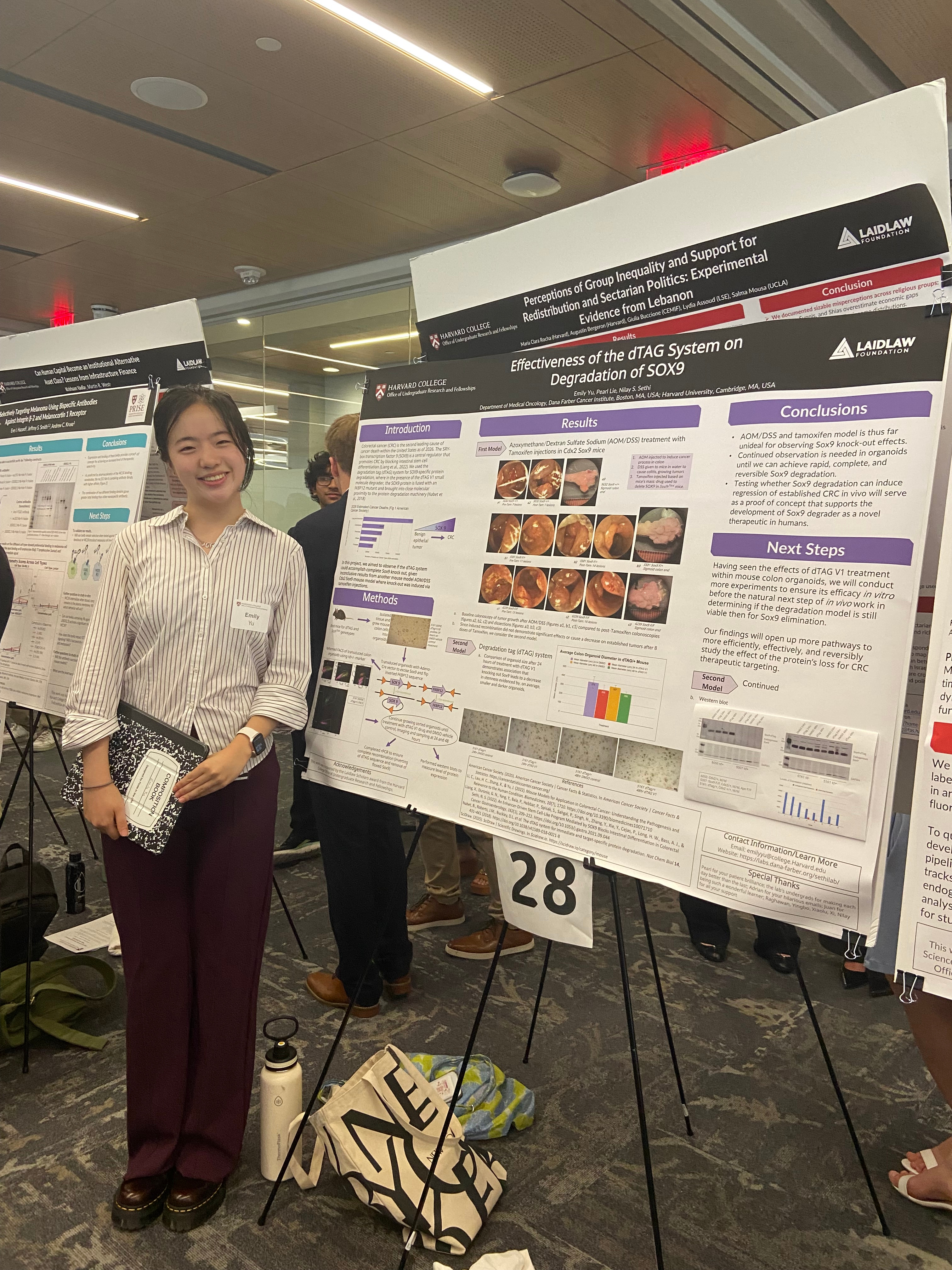 dTAG, you’re it! Summer Research 2026