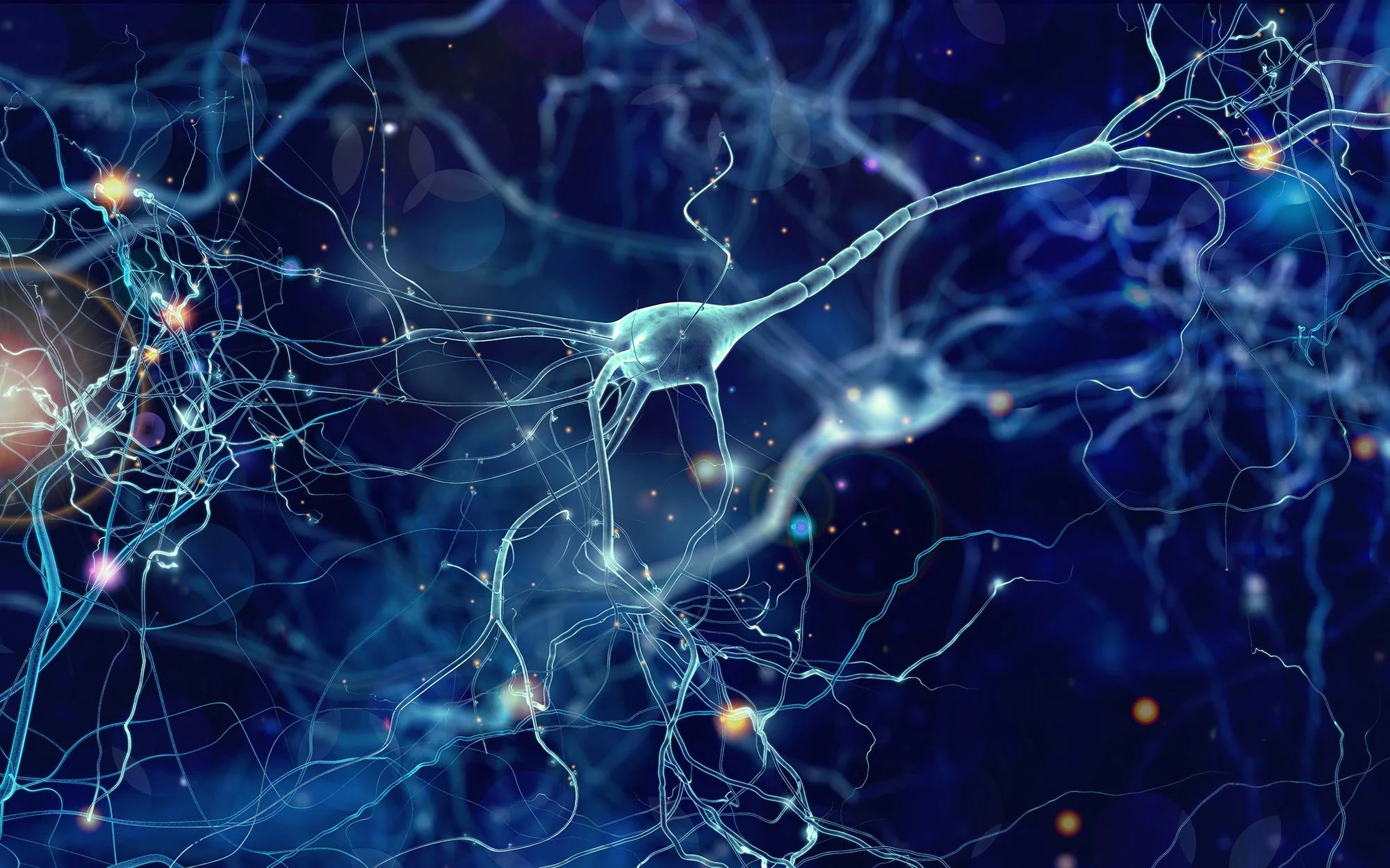 Project Outline: Utilizing piggyBac Gene Editing to Create Drug-Inducible SOX10+ Neural Crest Progenitors