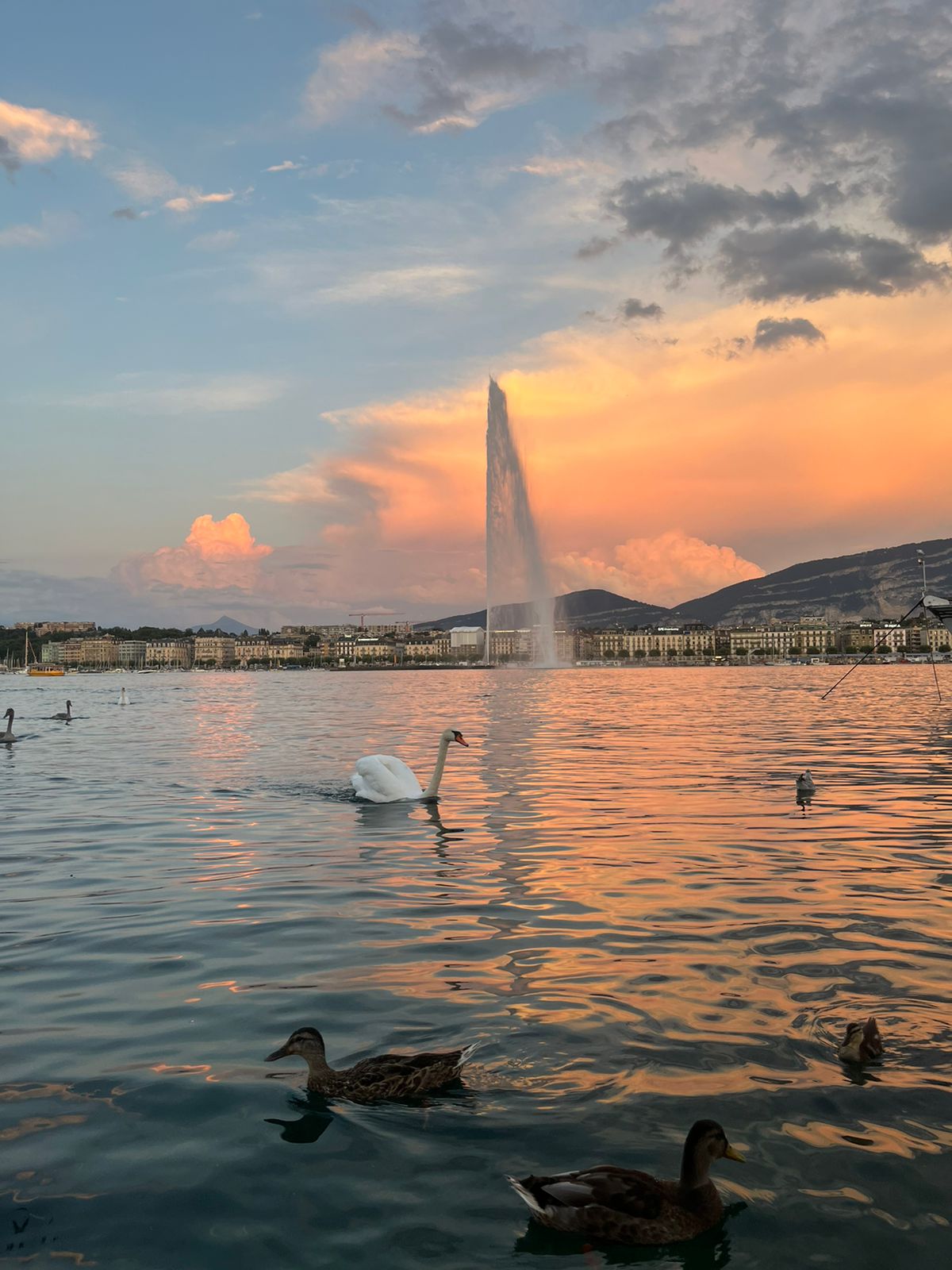 My Journey at the Cyber Peace Institute in Geneva!