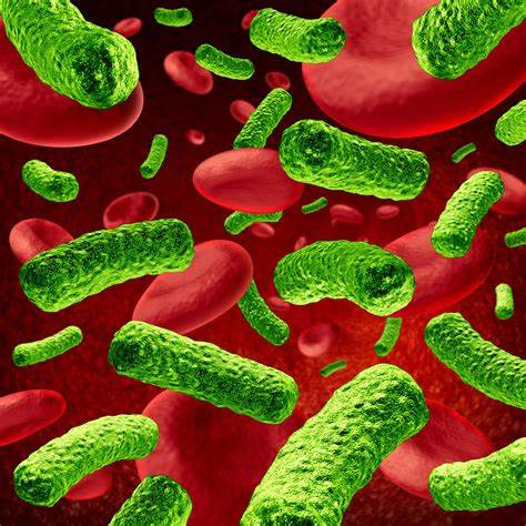 A cell-ebrity amongst the strains of bacteria causing sepsis infections: Exploiting the relationship between Lipopolysaccharide (LPS) and capsule for therapeutic benefit against E.coli UTI and sepsis
