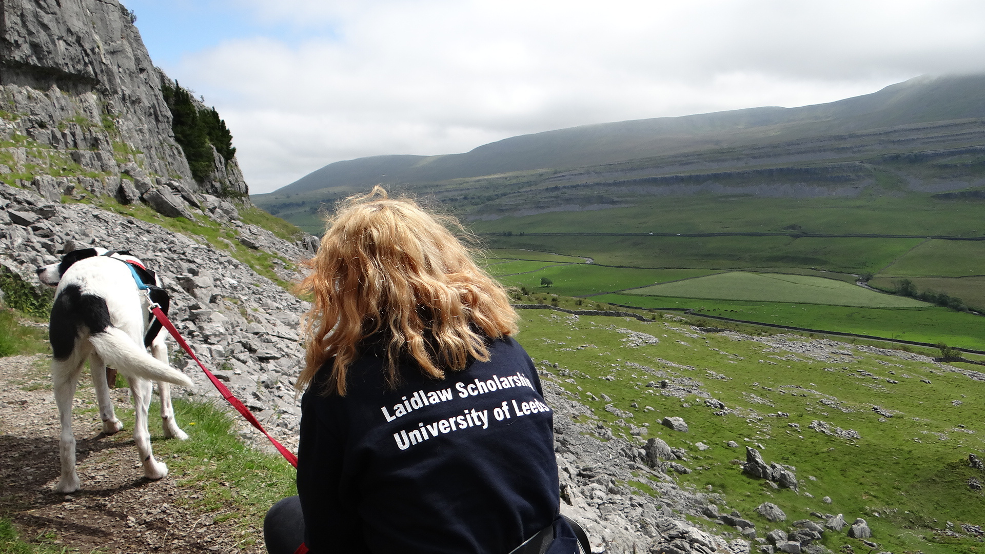 Go to the profile of Ciara Lawn