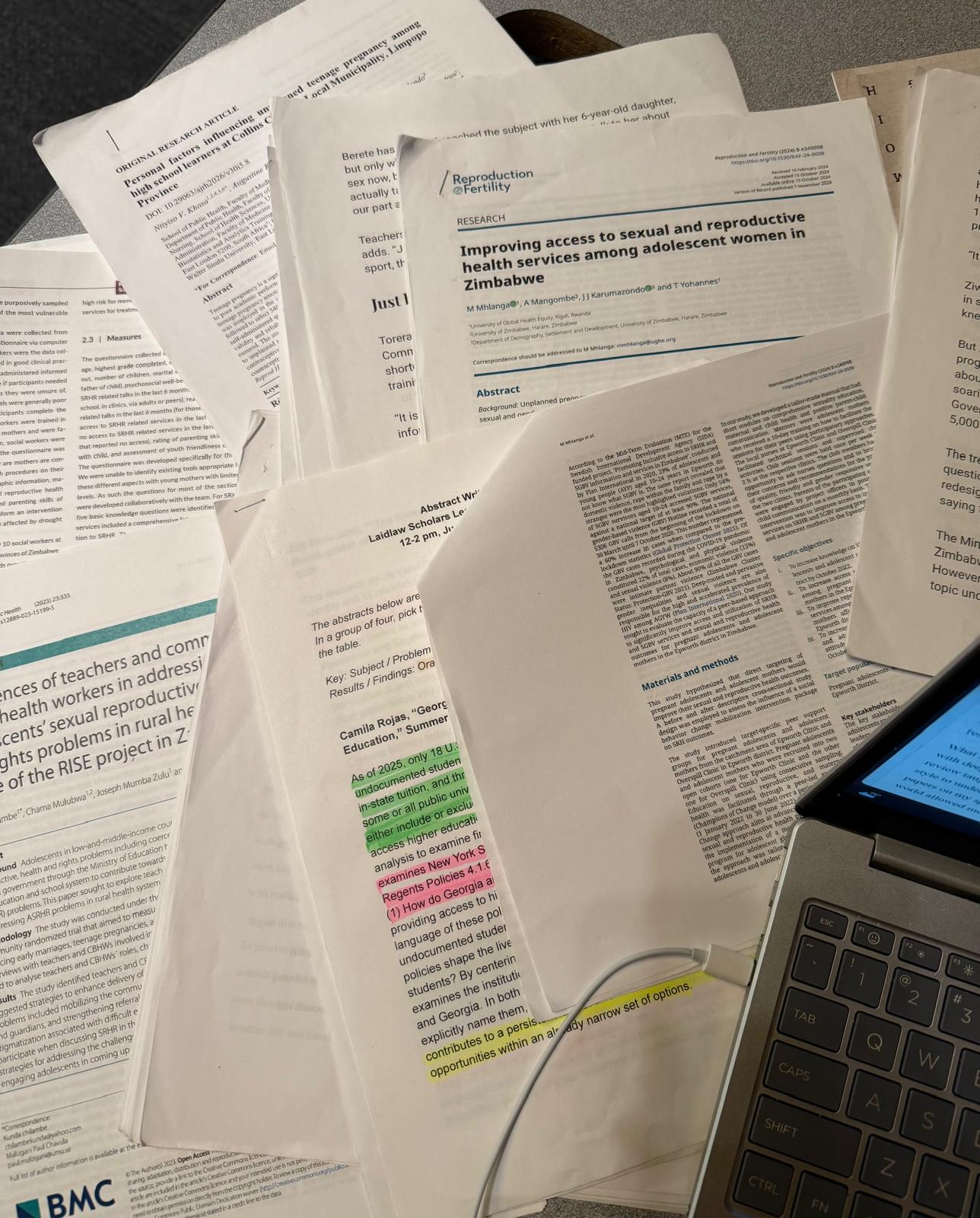 Six Weeks in Review: Reflecting on My Research Journey 
