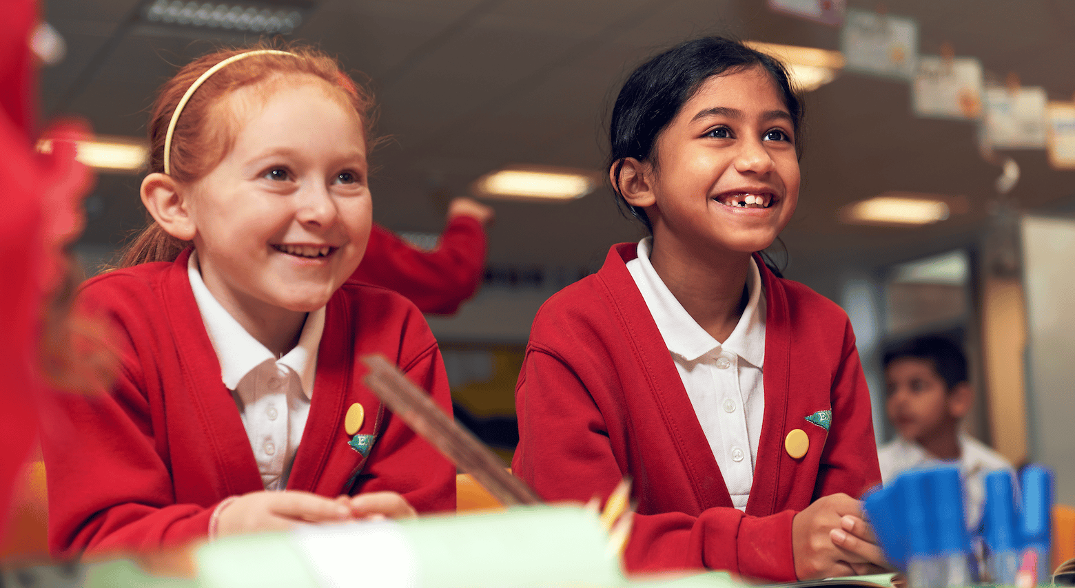 Volunteer at Laidlaw Schools Trust 