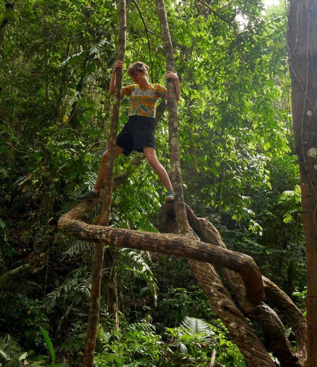 Go to the profile of Emmeline Bailey