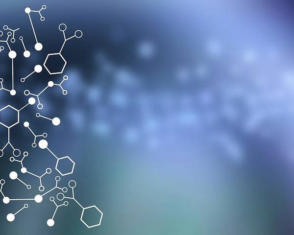 Project Outline: Investigating the metabolomics of HAMLET/Alpha1