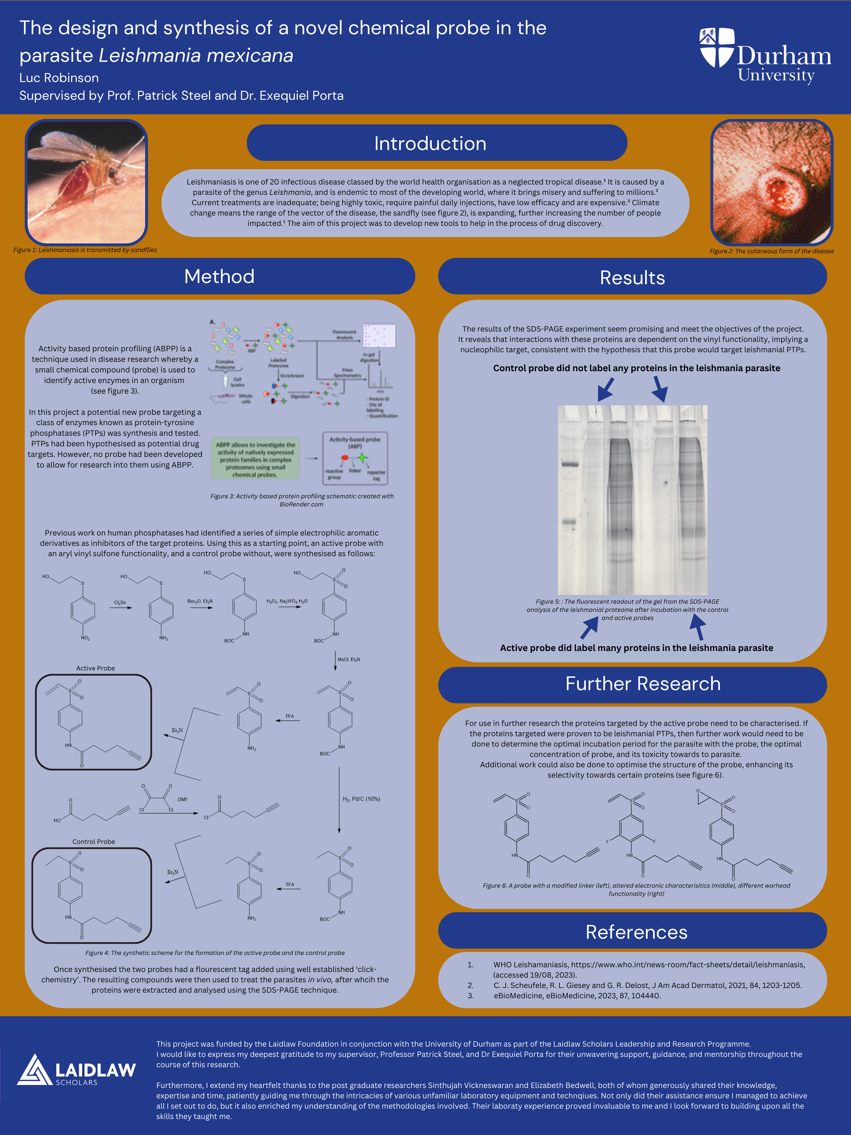 The design and synthesis of a novel chemical probe in the parasite Leishmania mexicana