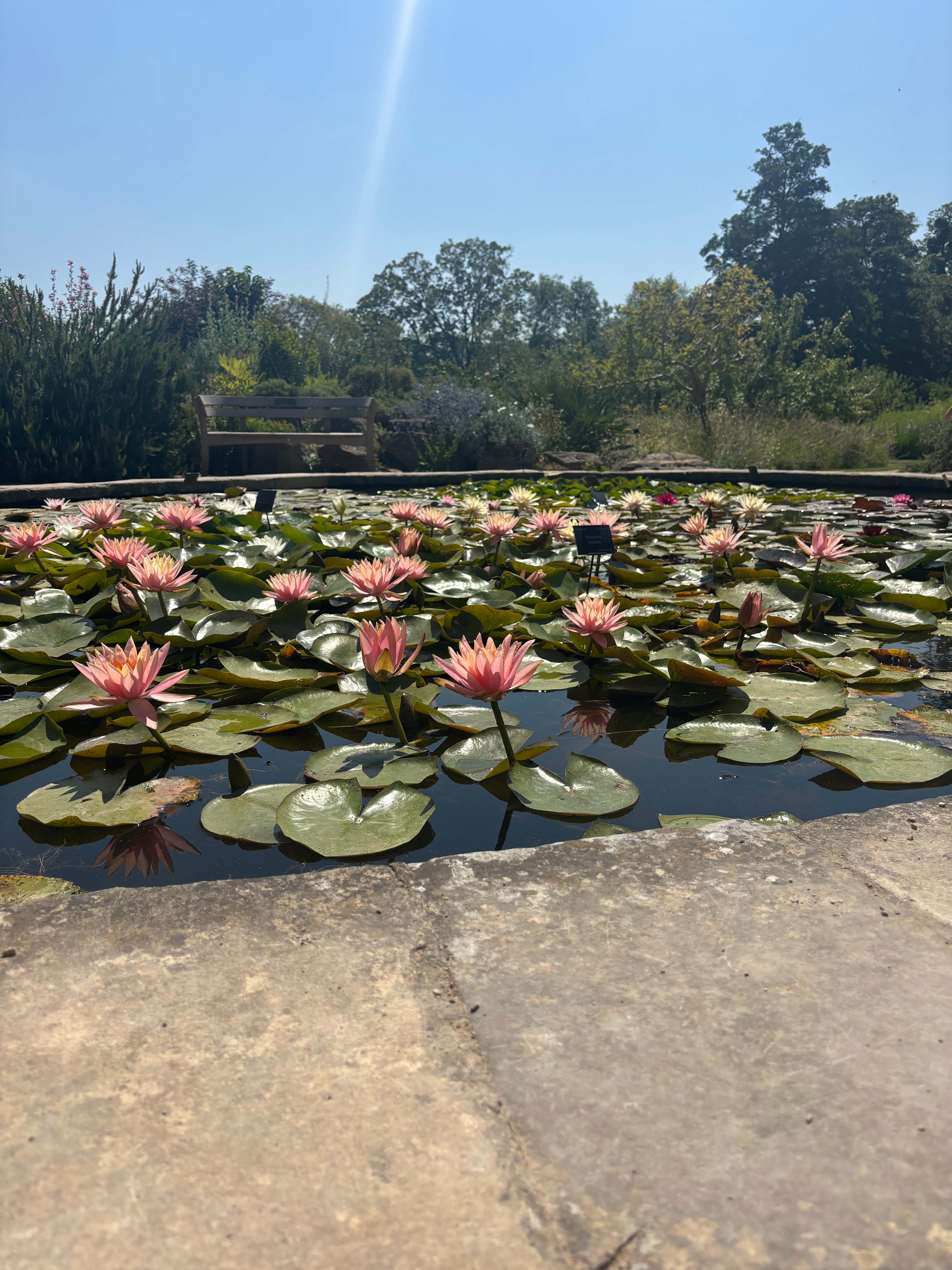 Week 2: Oxford Research Summer 