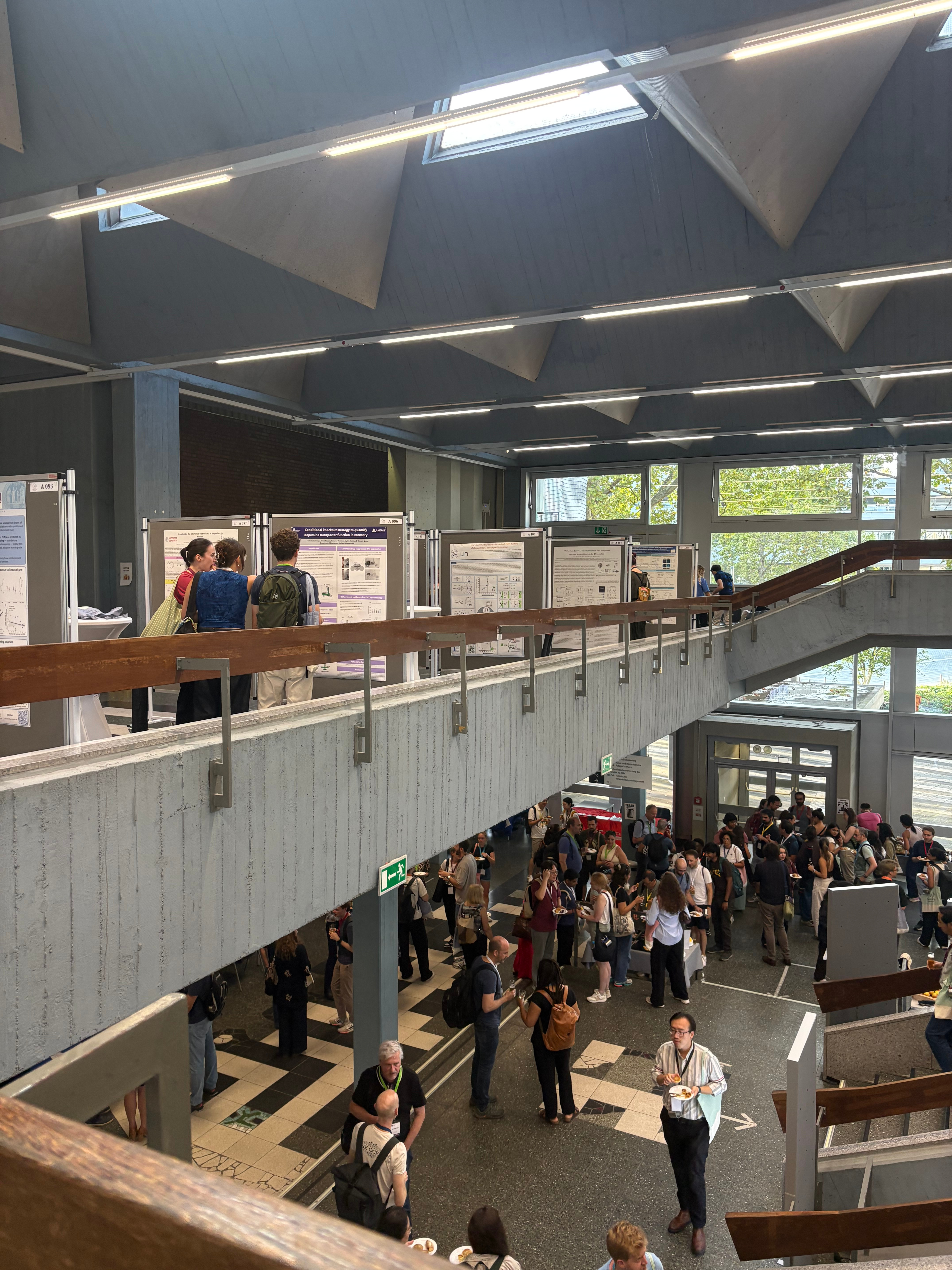 Reflection: The Neurofly 2026 Conference