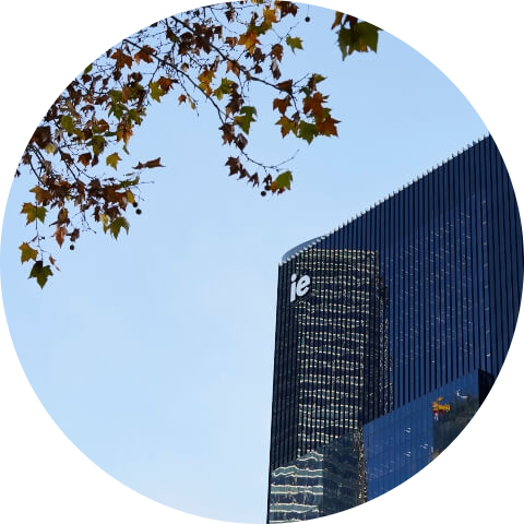 Go to the profile of Marina Amorós Aldea