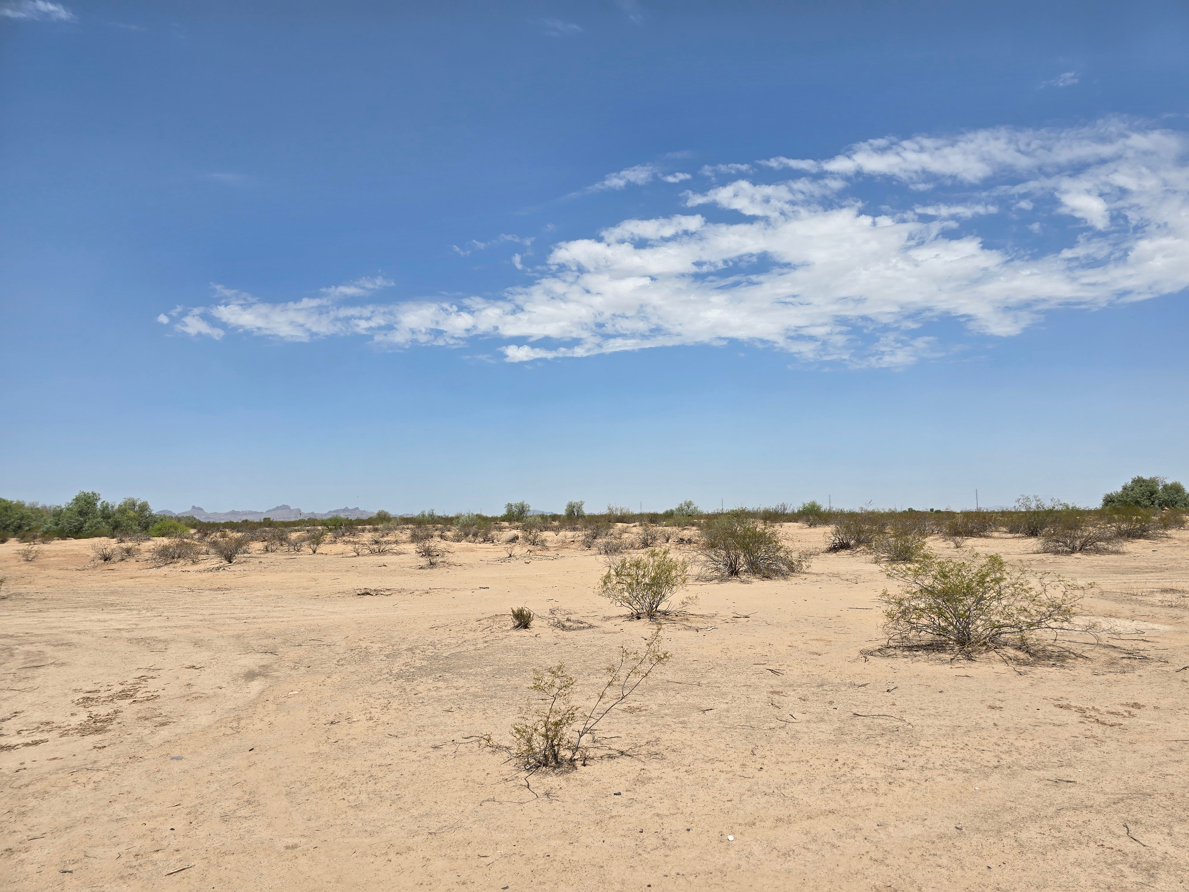 LiA Reflection Week 3: Darkness and Hope in the Borderlands 
