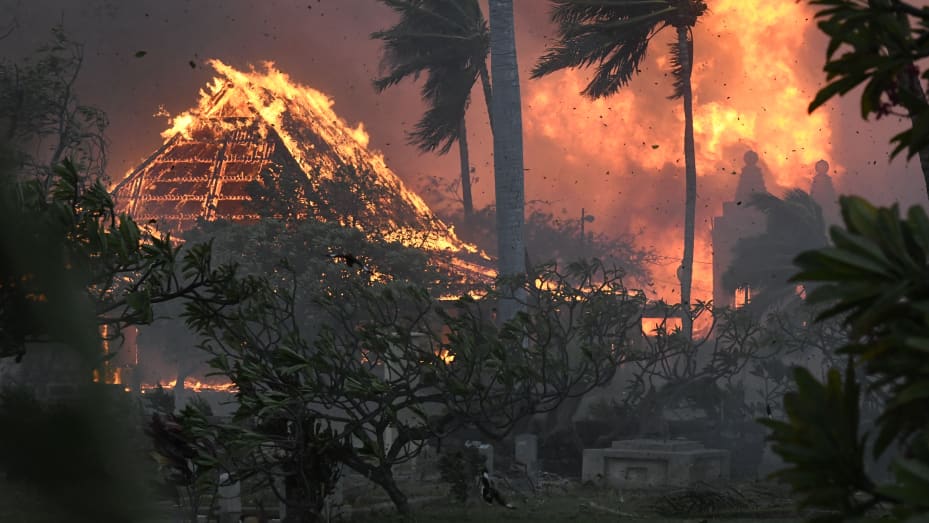 "Project Outline: Voices Unearthed: Understanding Indigenous Perspectives on the Lahaina Wildfires and Socio-Economic Dynamics in Hawaii"