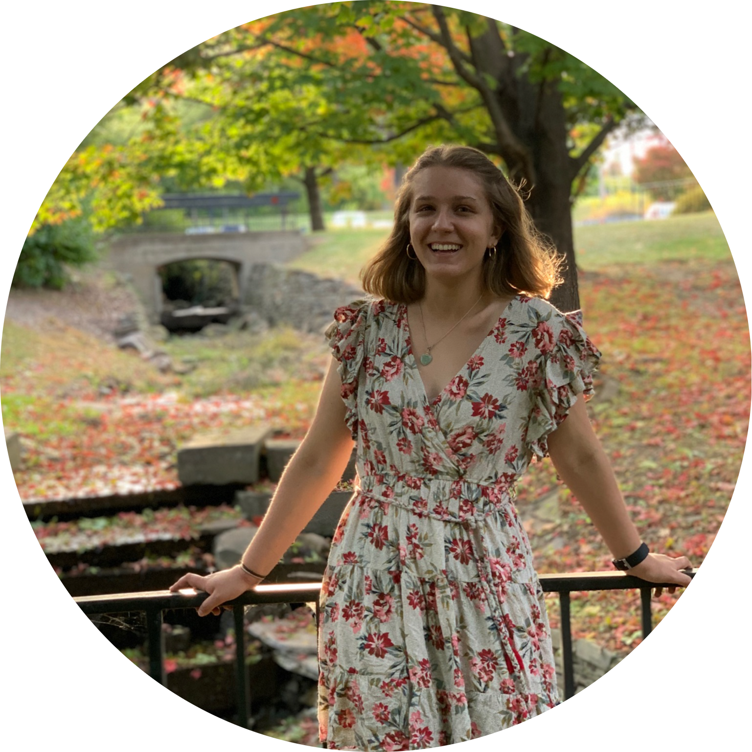 Go to the profile of Lia Sokol