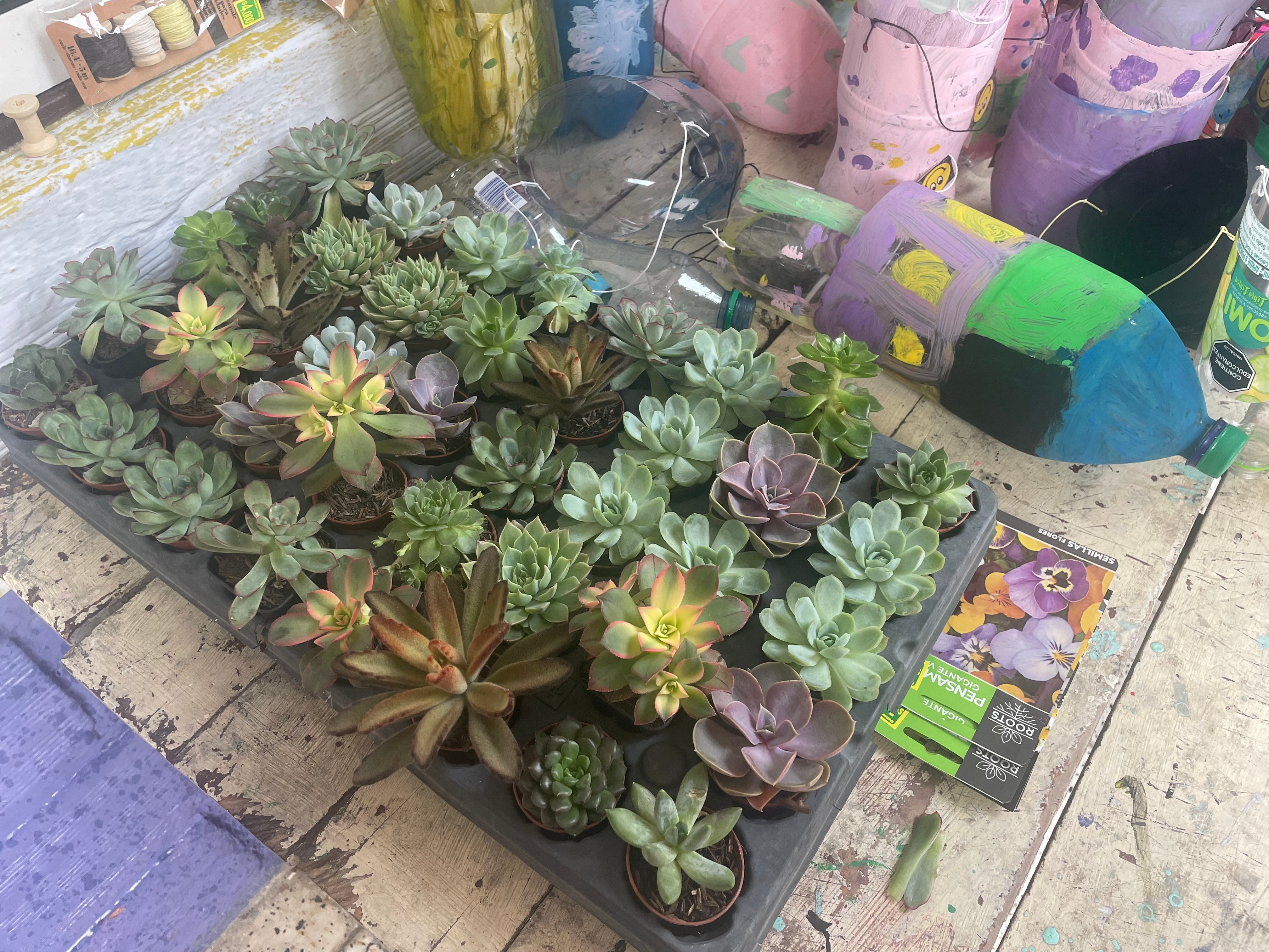 Bringing the Pieces Together: My Fourth Week in Medellín